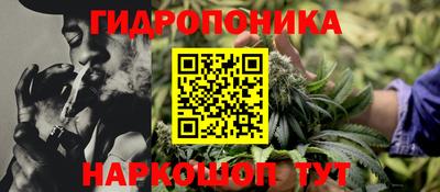 крисы Будённовск