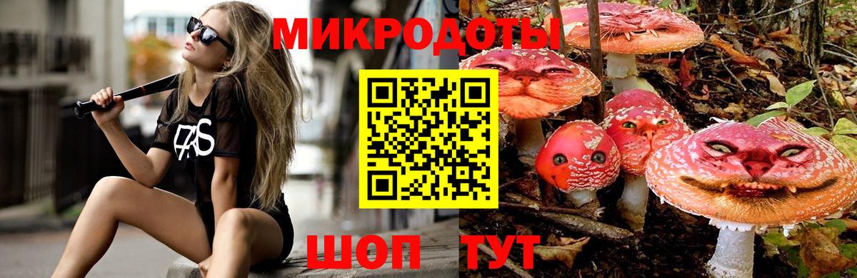 Галлюциногенные грибы Psilocybine cubensis Михайловск