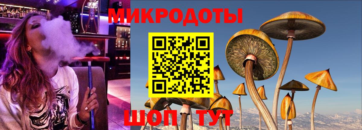 продажа наркотиков  Псилоцибиновые грибы ЛСД  Вход с VPN  Михайловск 